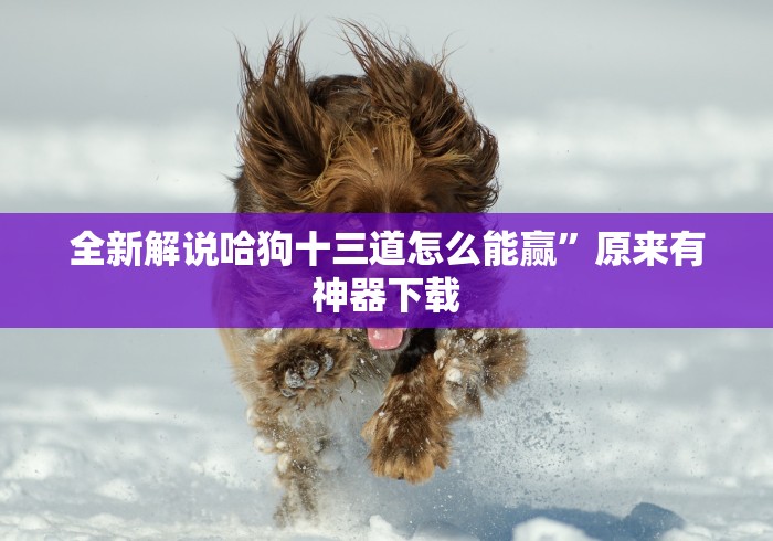 实操教程“佛手在线可以开挂吗	”(透视挂)辅助透视教程