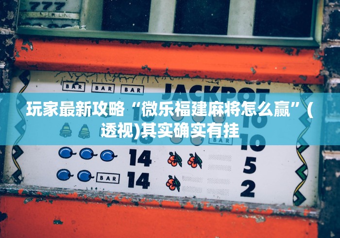 玩家最新攻略“微乐福建麻将怎么赢”(透视)其实确实有挂