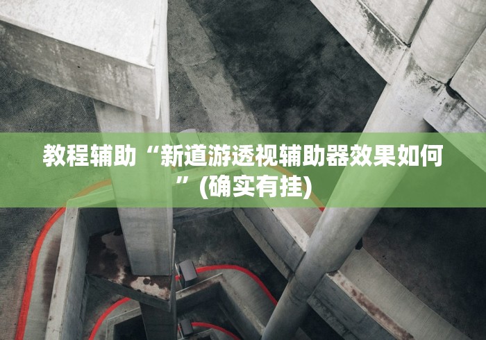实测教程“牵手跑得快开挂”详细辅助教程分享