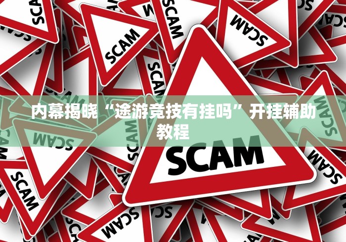 内幕揭晓“途游竞技有挂吗	”开挂辅助教程