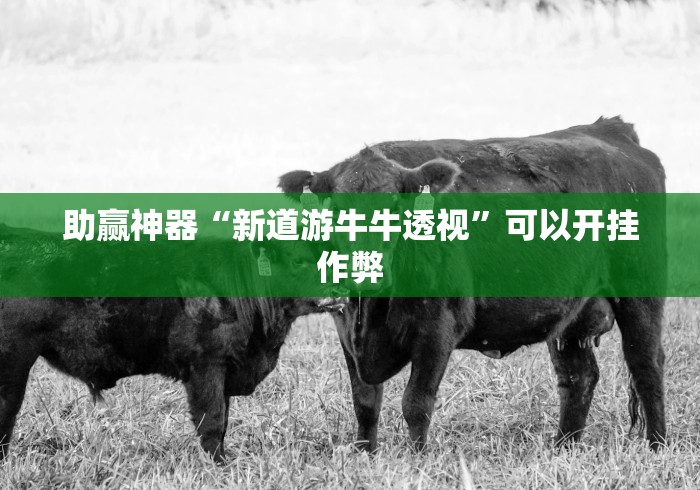 助赢神器“新道游牛牛透视”可以开挂作弊