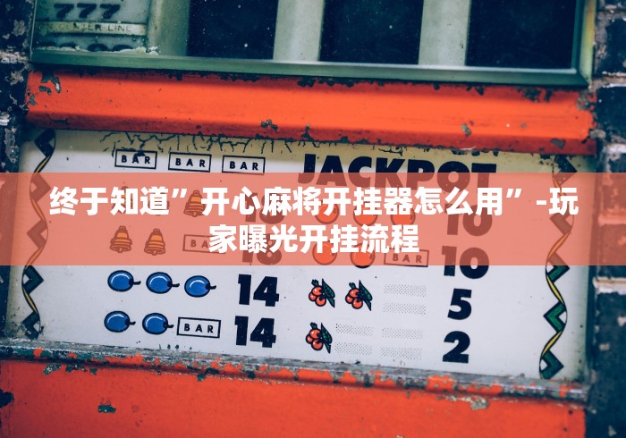 终于知道	”开心麻将开挂器怎么用”-玩家曝光开挂流程