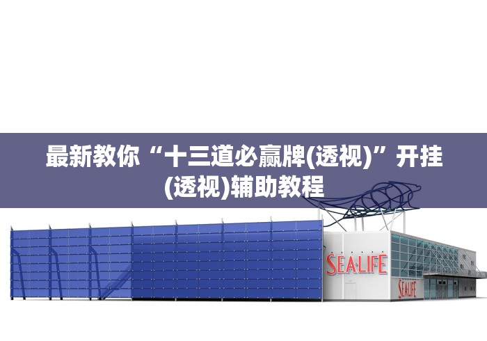 最新教你“十三道必赢牌(透视)”开挂(透视)辅助教程