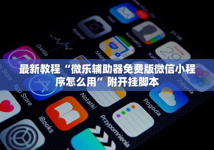 最新教程“微乐辅助器免费版微信小程序怎么用”附开挂脚本