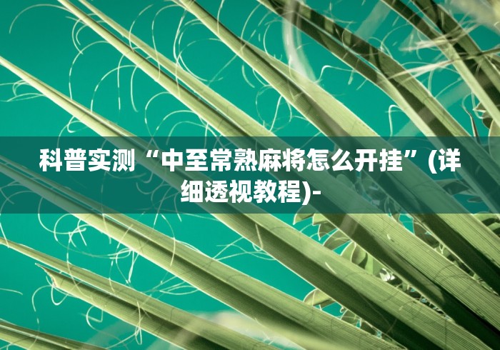 科普实测“中至常熟麻将怎么开挂”(详细透视教程)-