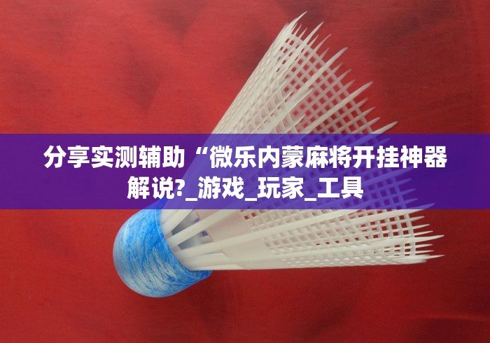 分享实测辅助“微乐内蒙麻将开挂神器解说?_游戏_玩家_工具