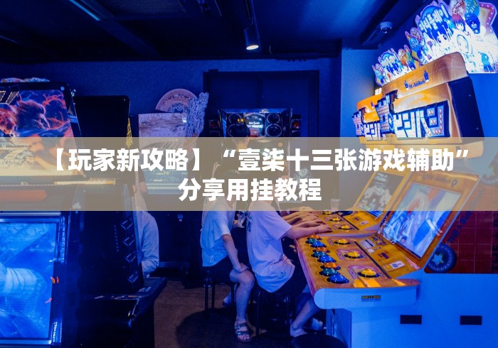【玩家新攻略】“壹柒十三张游戏辅助”分享用挂教程