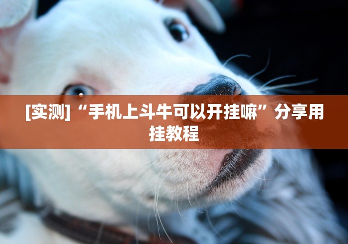 【玩家必看实操】“手机斗牛开挂神器下载安装”详细分享装挂