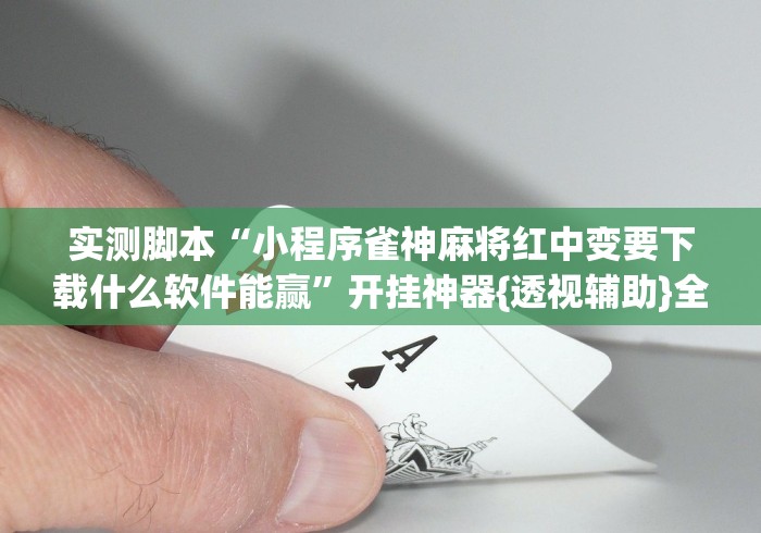 2026玩家推荐:哈哈跑得快有没有透视挂”辅助工具插件,揭秘技巧开挂