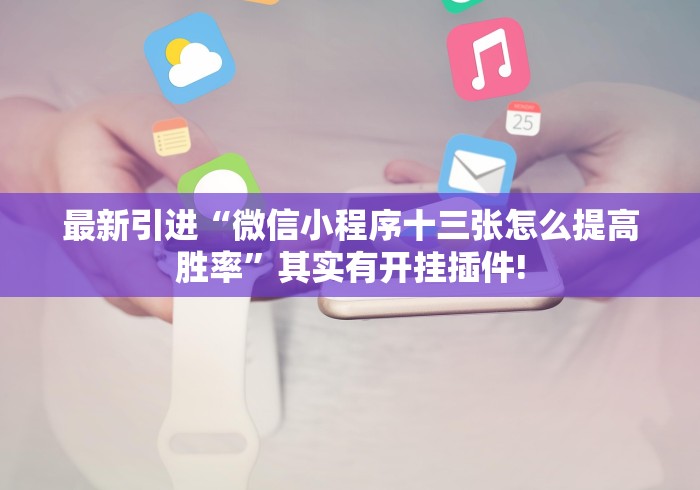 最新引进“微信小程序十三张怎么提高胜率”其实有开挂插件!