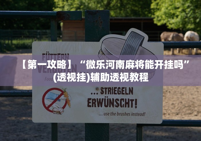 【第一攻略】“微乐河南麻将能开挂吗	”(透视挂)辅助透视教程