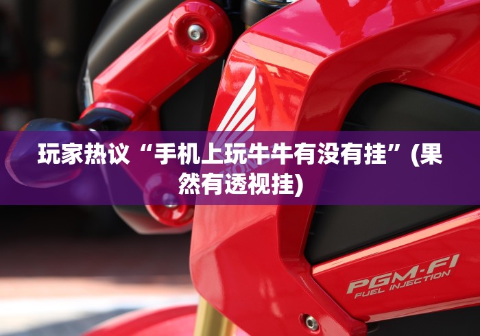 玩家热议“手机上玩牛牛有没有挂	”(果然有透视挂)