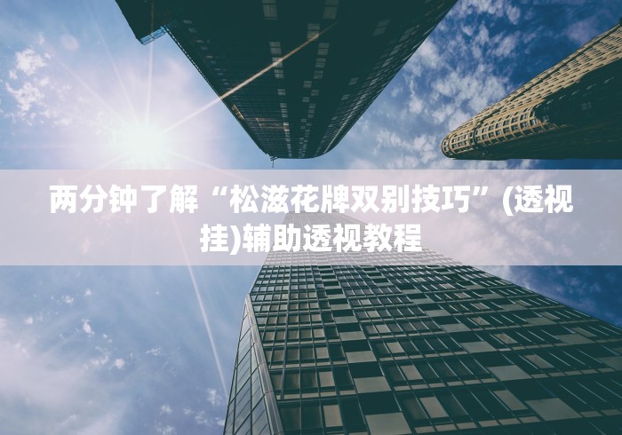 两分钟了解“松滋花牌双别技巧	”(透视挂)辅助透视教程