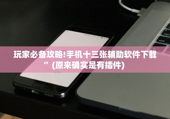 玩家必备攻略!手机十三张辅助软件下载”(原来确实是有插件) 