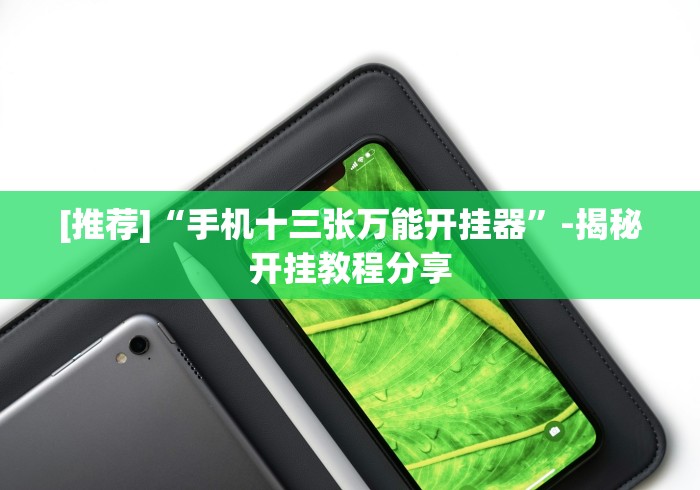 [推荐]“手机十三张万能开挂器”-揭秘开挂教程分享