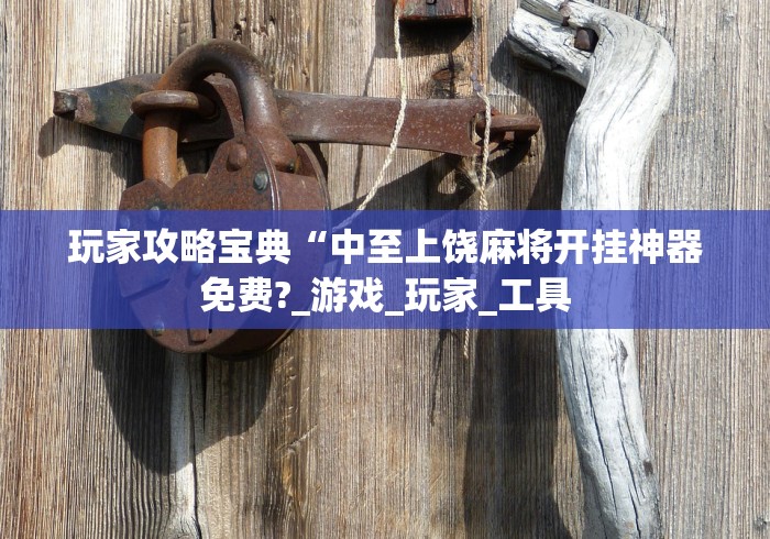 玩家攻略宝典“中至上饶麻将开挂神器免费?_游戏_玩家_工具 玩家攻略宝典“中至上饶麻将开挂神器免费?_游戏_玩家_工具