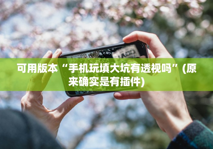 可用版本“手机玩填大坑有透视吗	”(原来确实是有插件)