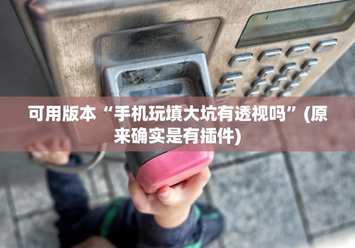 可用版本“手机玩填大坑有透视吗”(原来确实是有插件)