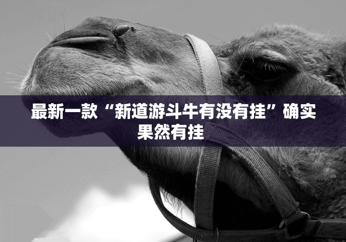 最新一款“新道游斗牛有没有挂”确实果然有挂 