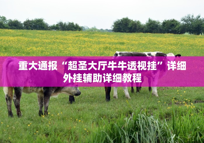 重大通报“超圣大厅牛牛透视挂”详细外挂辅助详细教程