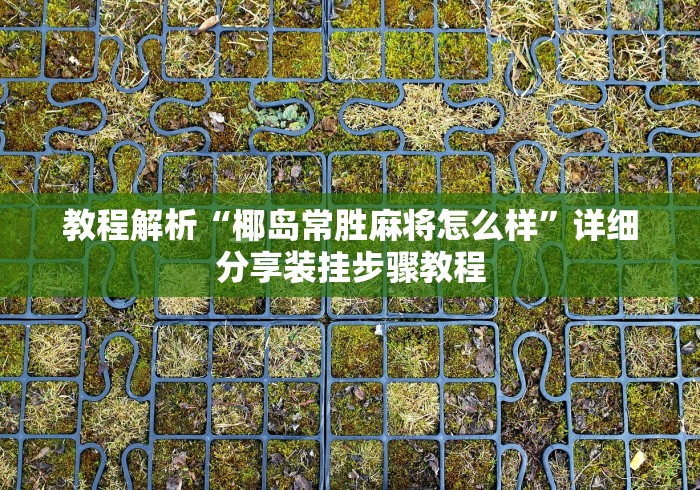 教程解析“椰岛常胜麻将怎么样”详细分享装挂步骤教程