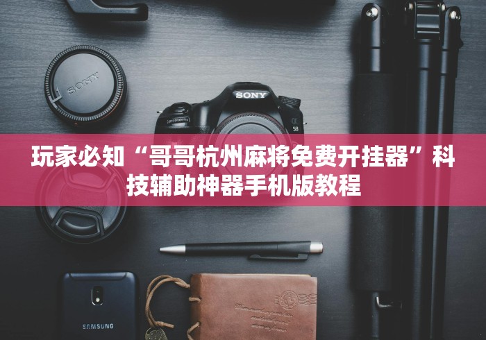 玩家必知“哥哥杭州麻将免费开挂器”科技辅助神器手机版教程