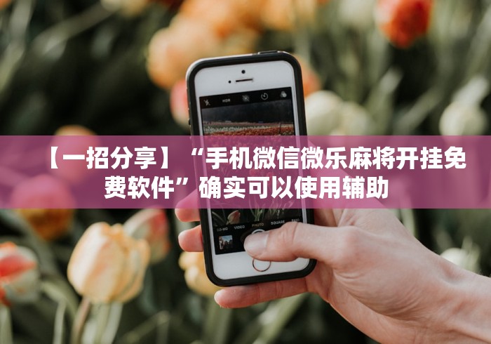 科技媒体实测“九张牌比鸡技巧解读”(透视)开挂详细教程