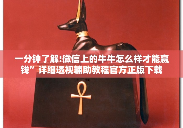 教程更新!:小程序微乐斗地主必赢软件”(原来确实是有挂)