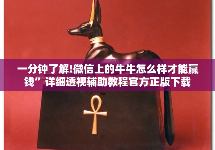 一分钟了解!微信上的牛牛怎么样才能赢钱”详细透视辅助教程官方正版下载