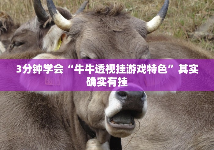 全网解答|“财神十三张免费开挂的软件”详细开挂教程