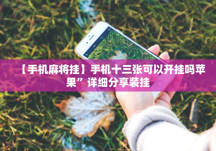 【手机麻将挂】手机十三张可以开挂吗苹果	”详细分享装挂