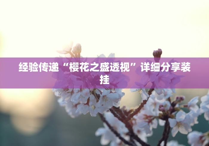 经验传递“樱花之盛透视”详细分享装挂