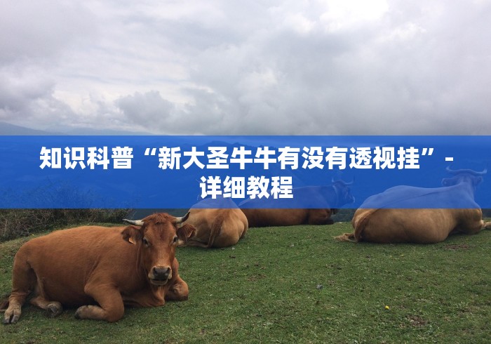 知识科普“新大圣牛牛有没有透视挂”-详细教程