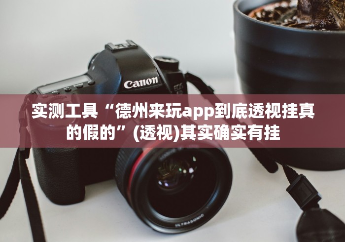 实测工具“德州来玩app到底透视挂真的假的	”(透视)其实确实有挂