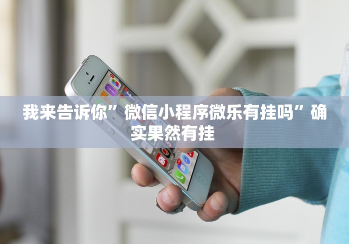 我来告诉你”微信小程序微乐有挂吗”确实果然有挂 