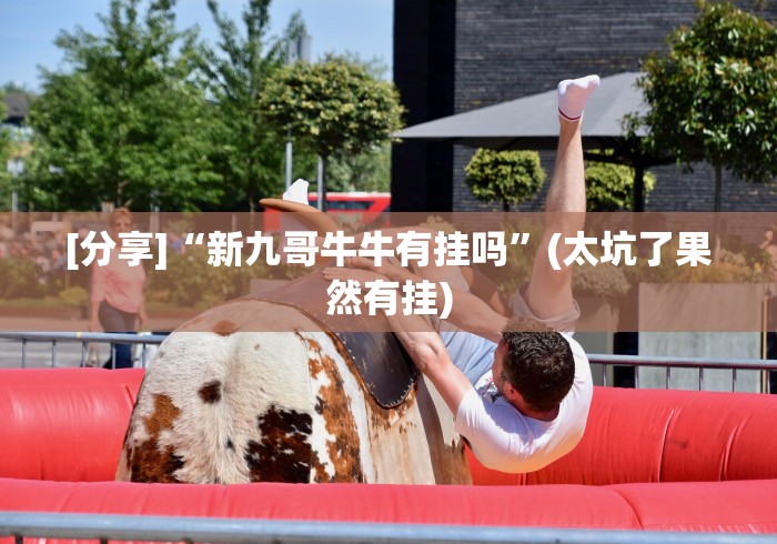 [分享]“新九哥牛牛有挂吗	”(太坑了果然有挂)