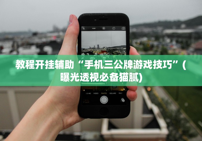 教程开挂辅助“手机三公牌游戏技巧”(曝光透视必备猫腻)