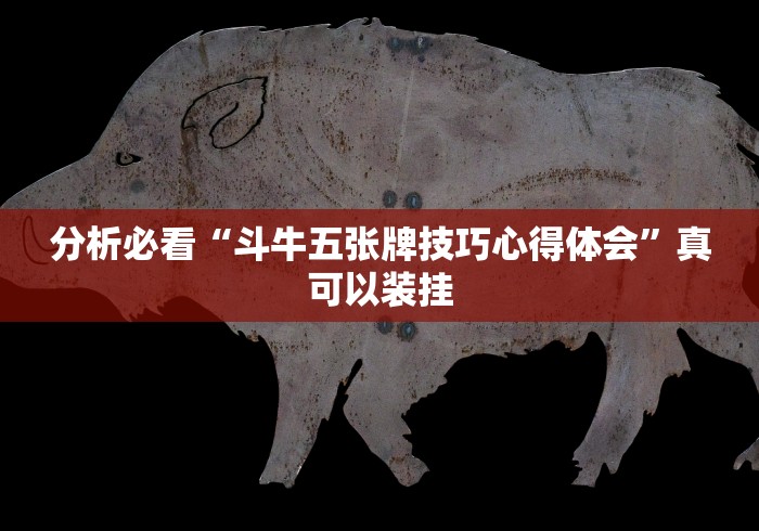 分析必看“斗牛五张牌技巧心得体会”真可以装挂