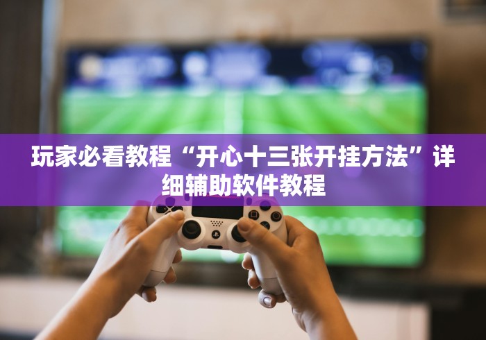 玩家必看教程“开心十三张开挂方法”详细辅助软件教程