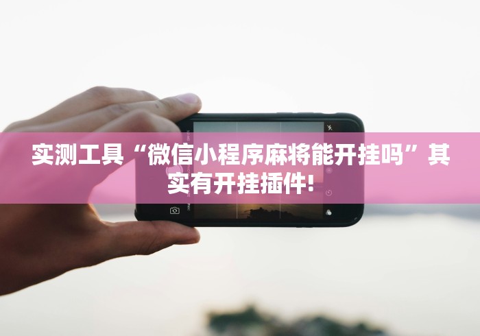 实测工具“微信小程序麻将能开挂吗	”其实有开挂插件!