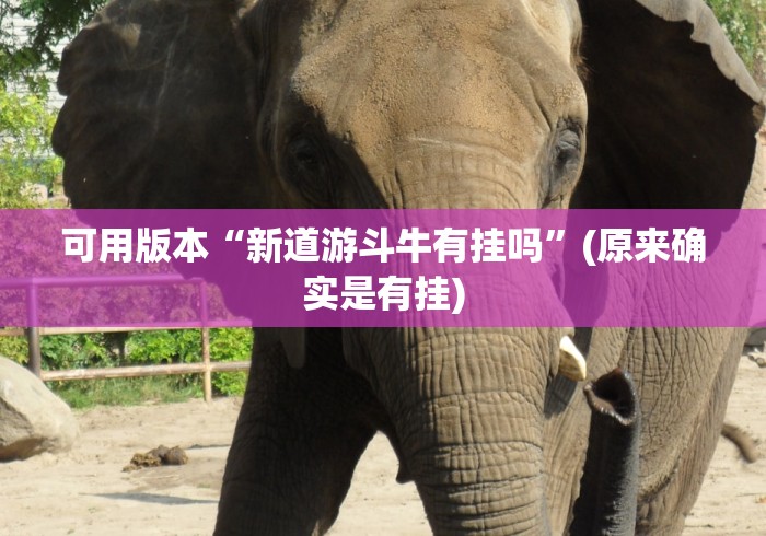 可用版本“新道游斗牛有挂吗”(原来确实是有挂)