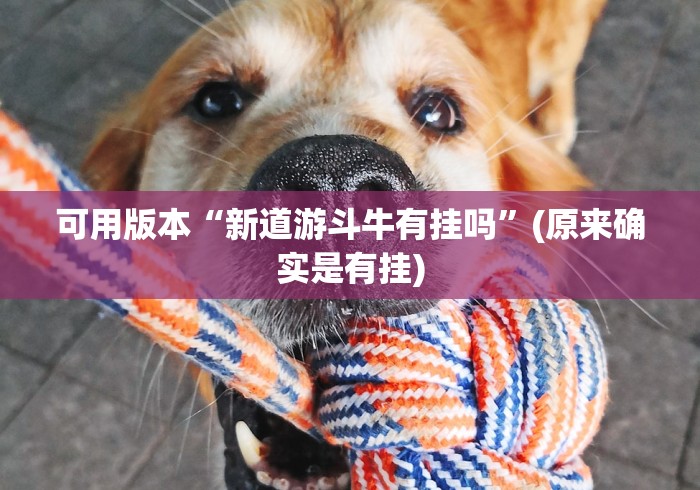 【最新科普】十三水娱乐场技巧”原来可以开挂