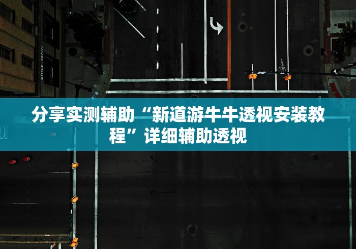 分享实测辅助“新道游牛牛透视安装教程”详细辅助透视