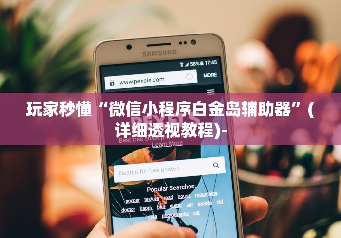 玩家秒懂“微信小程序白金岛辅助器	”(详细透视教程)-