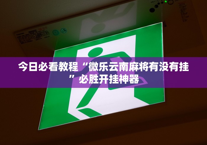 一分钟了解!广西八一字牌可以开挂吗”附透视挂详细教程 