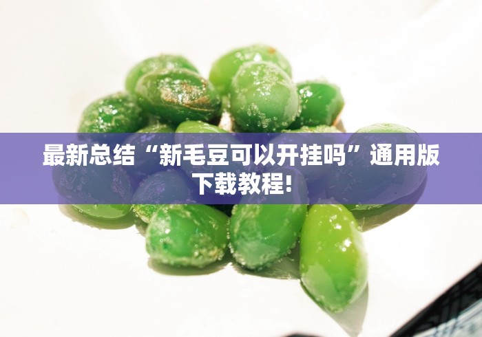 最新总结“新毛豆可以开挂吗”通用版下载教程!