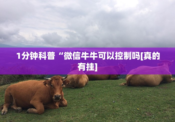 使用分享“牵手跑胡子透视辅助软件	”可以开挂作弊