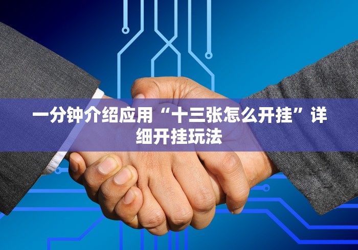 一分钟介绍应用“十三张怎么开挂”详细开挂玩法