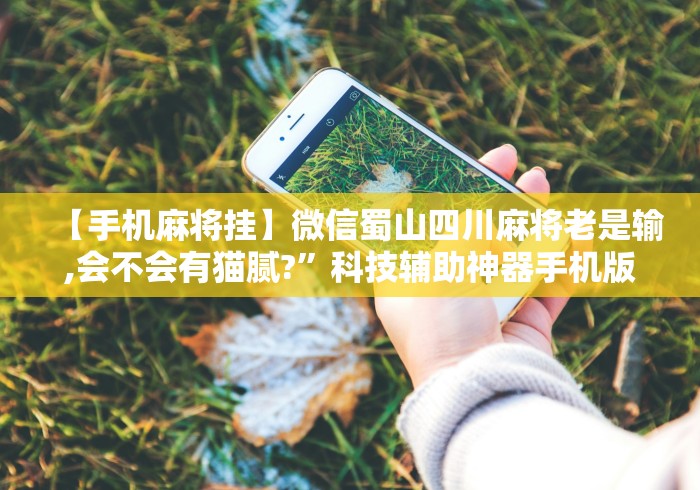 【手机麻将挂】微信蜀山四川麻将老是输,会不会有猫腻?	”科技辅助神器手机版