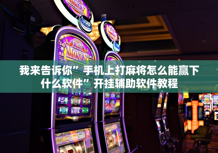【玩家必看】“天天微友挂怎么下载”详细开挂教程